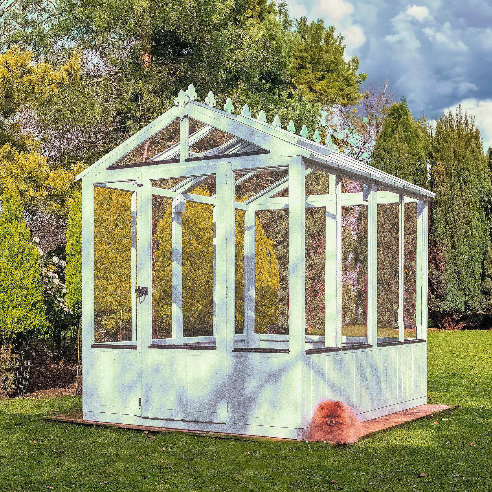 Product image 21